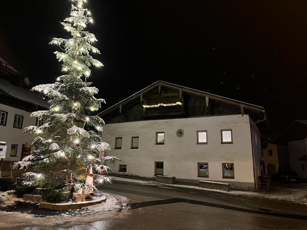 Stuwip Alps Appartement Sonnenstein Fulpmes Dış mekan fotoğraf